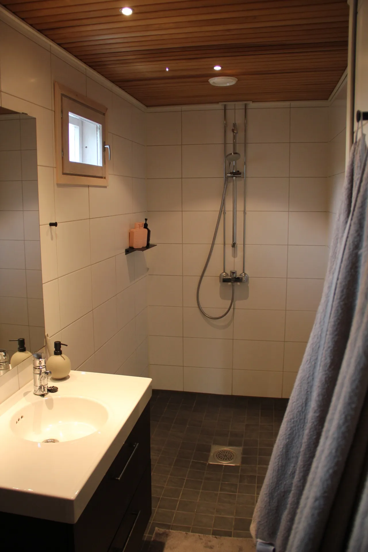 Shower room with vanity and natural light